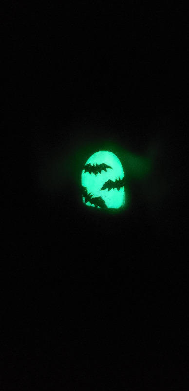 Glow In The Dark Taco - Customer Photo From Allison F.