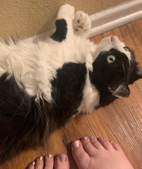 Toe Beans - Customer Photo From Kari