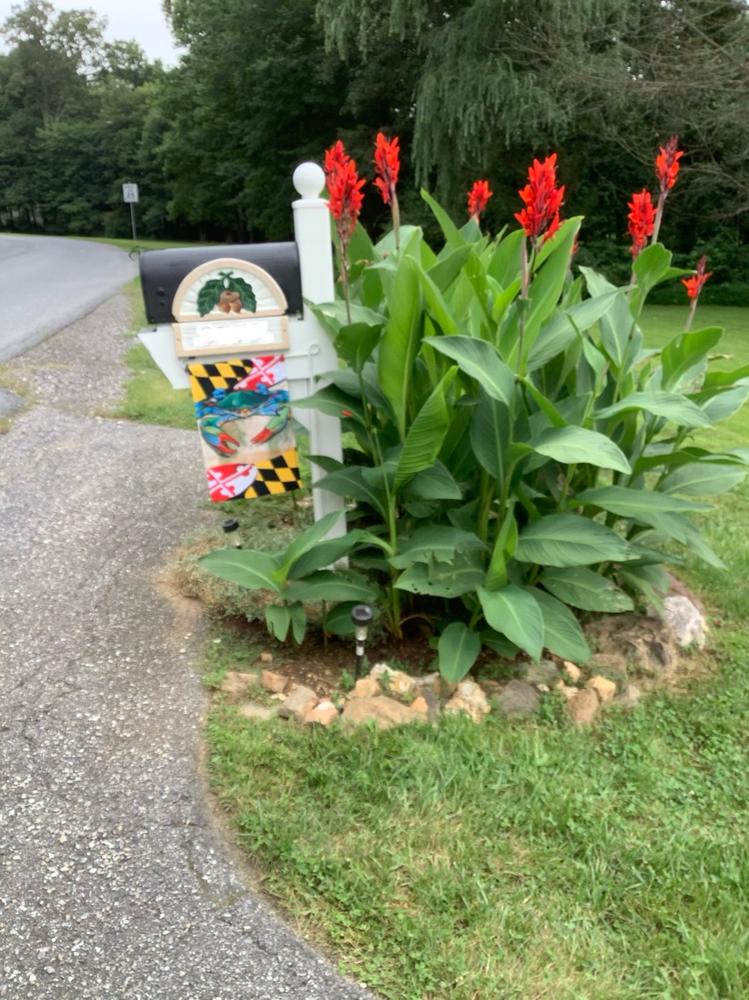 Maryland Blue Crab / Garden Flag - Customer Photo From Sharon Girvin-Davison
