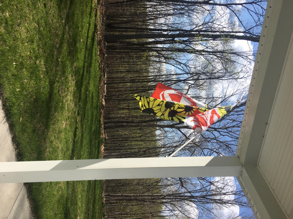 Crabby Susan Maryland / Flag - Customer Photo From Elizabeth O’Leary
