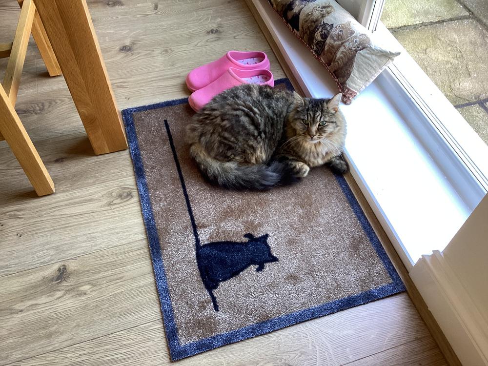 Sitting Cat Doormat, Natural - Customer Photo From Kirsty Phillips