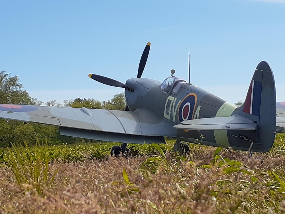 FlightLine Spitfire Mk.IX 1600mm (63") Wingspan - PNP - Customer Photo From Porter