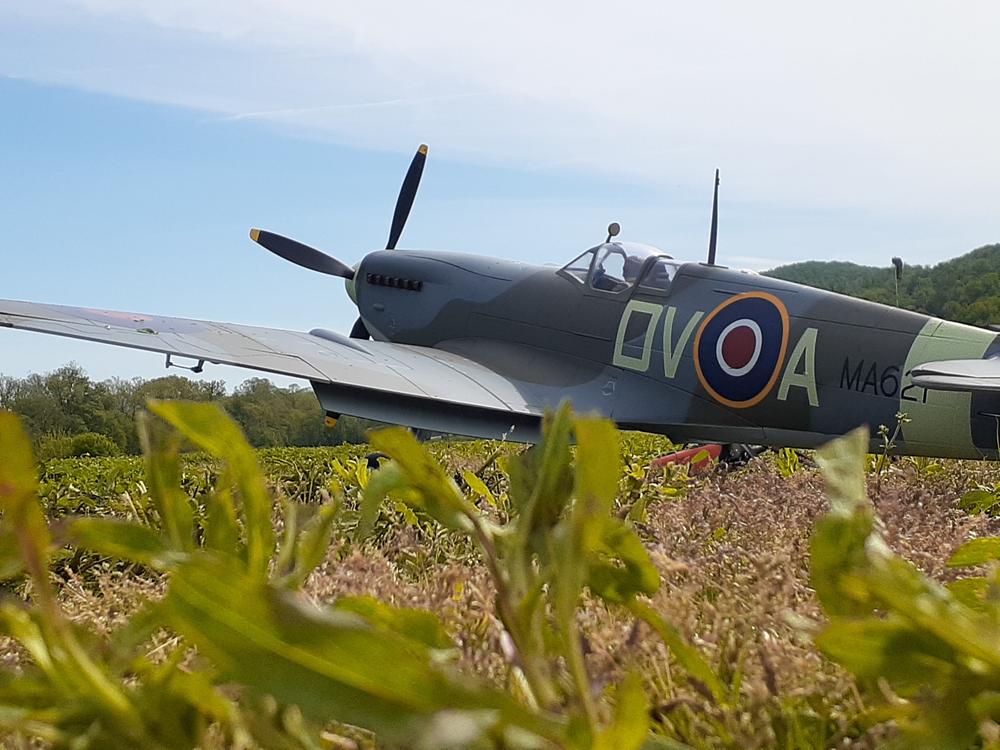 FlightLine Spitfire Mk.IX 1600mm (63") Wingspan - PNP - Customer Photo From Porter