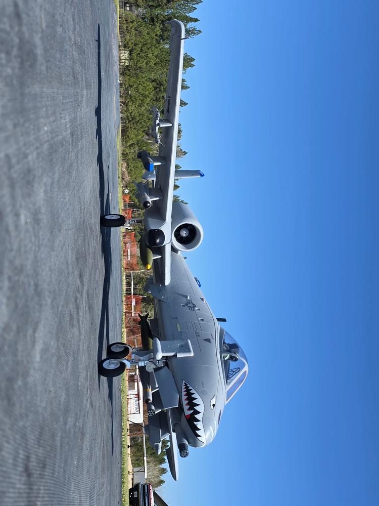 Freewing A-10 Thunderbolt II Super Scale Twin 80mm EDF Jet - ARF PLUS - Customer Photo From Terry