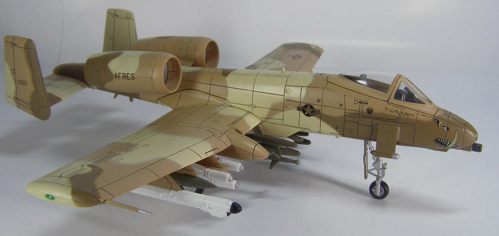 Freewing A-10 Thunderbolt II Super Scale Twin 80mm EDF Jet - ARF PLUS - Customer Photo From bill34207