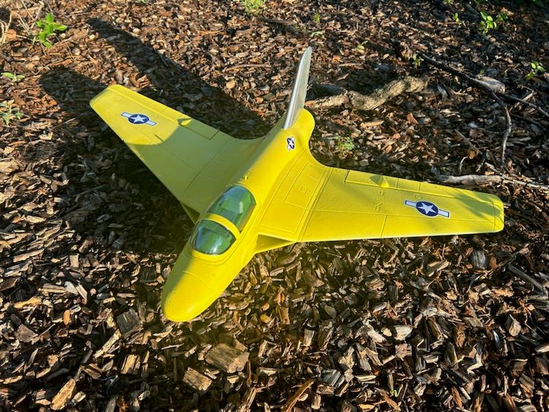 Freewing Lippisch P.15 64mm EDF Jet - PNP - Customer Photo From Drew M.
