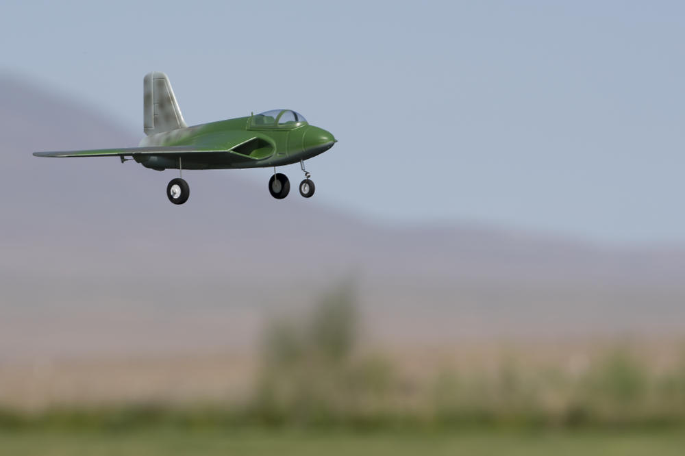 Freewing Lippisch P.15 64mm EDF Jet - PNP - Customer Photo From R. Scott Page