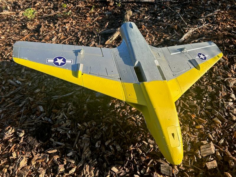 Freewing Lippisch P.15 64mm EDF Jet - PNP - Customer Photo From Drew M.