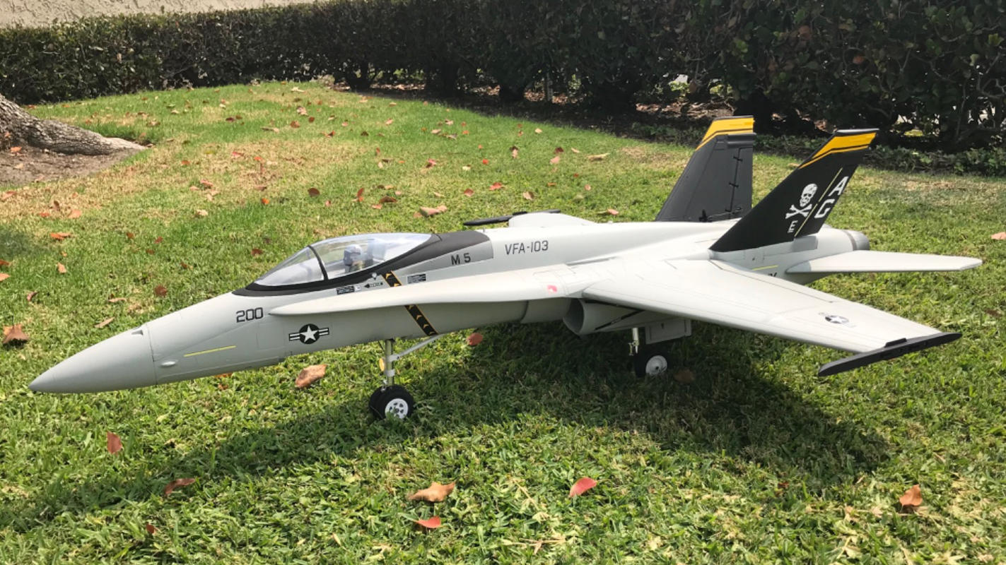 Freewing F/A18C "Base Gray" 90mm EDF Jet ARF PLUS FJ31421A