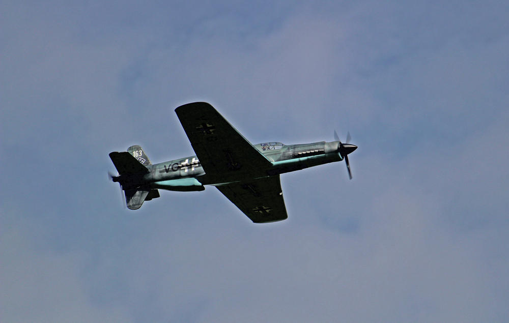 Black Horse Dornier DO335 1724mm (67.8") Wingspan - ARF - Customer Photo From Oxotnik