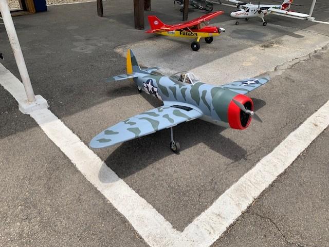Nexa P-47D Thunderbolt "Hairless Joe" Camo 1500mm (59") Wingspan - ARF - Customer Photo From gianfcc01@gmail.com