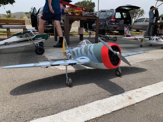 Nexa P-47D Thunderbolt "Hairless Joe" Camo 1500mm (59") Wingspan - ARF - Customer Photo From gianfcc01@gmail.com
