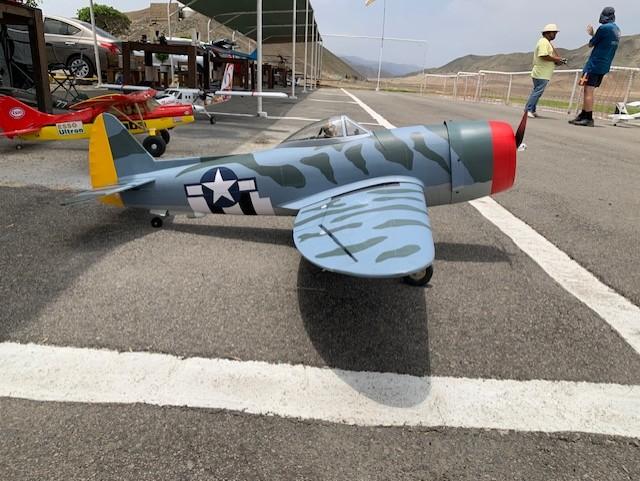 Nexa P-47D Thunderbolt "Hairless Joe" Camo 1500mm (59") Wingspan - ARF - Customer Photo From gianfcc01@gmail.com