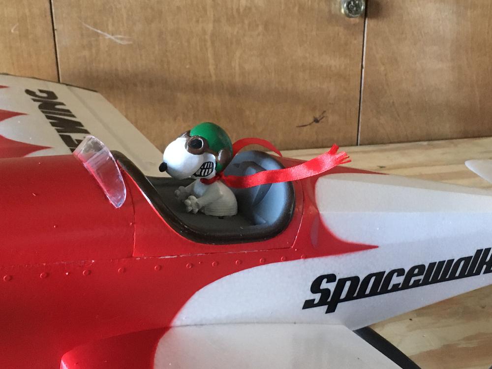 Freewing Spacewalker 1120mm (44