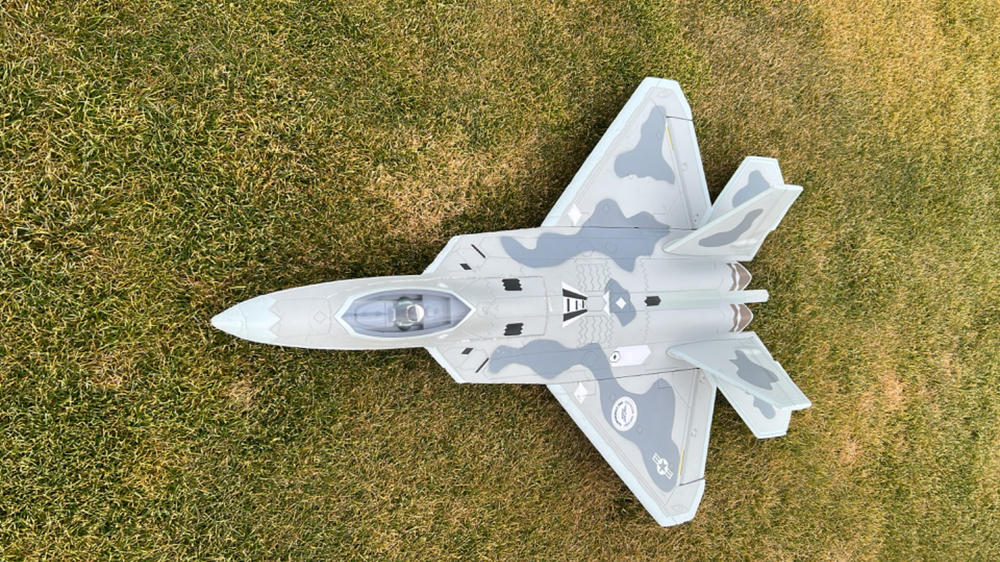 Freewing 64mm EDF F-22 Fuselage - Customer Photo From ELio cArballo