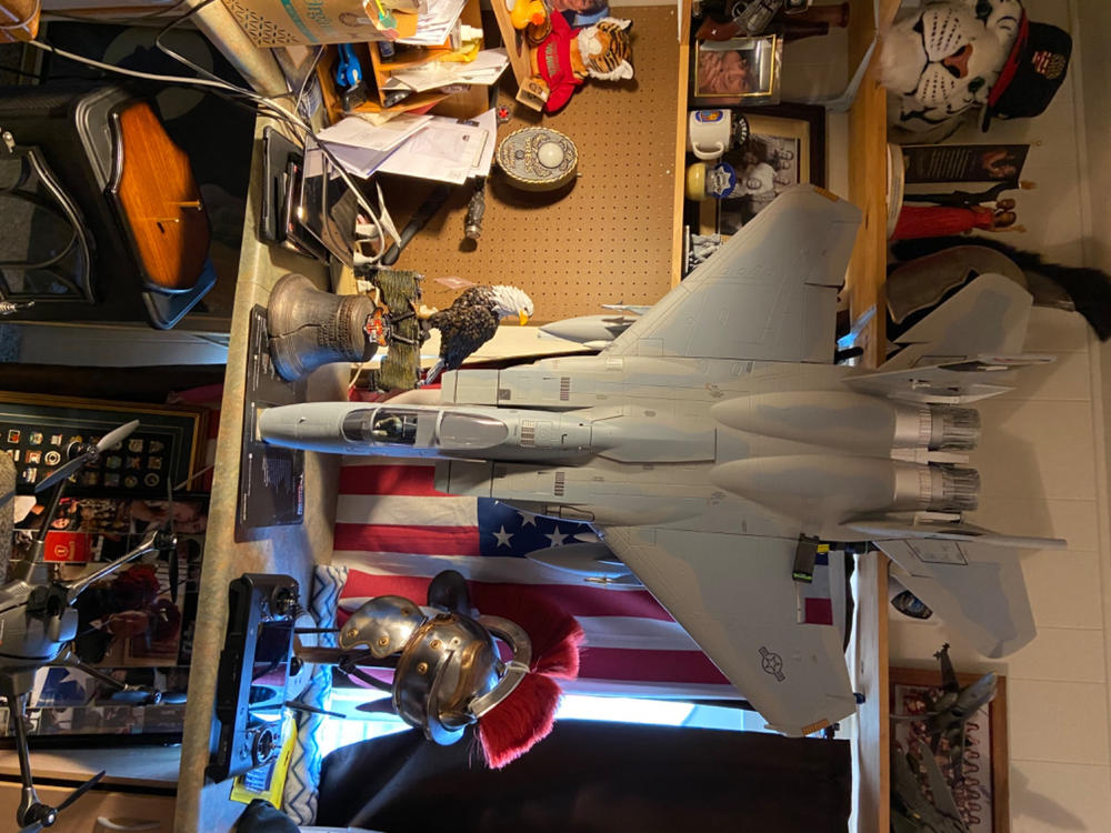 Freewing 90mm F-15C Armament and Pylon Set - Customer Photo From James Horton