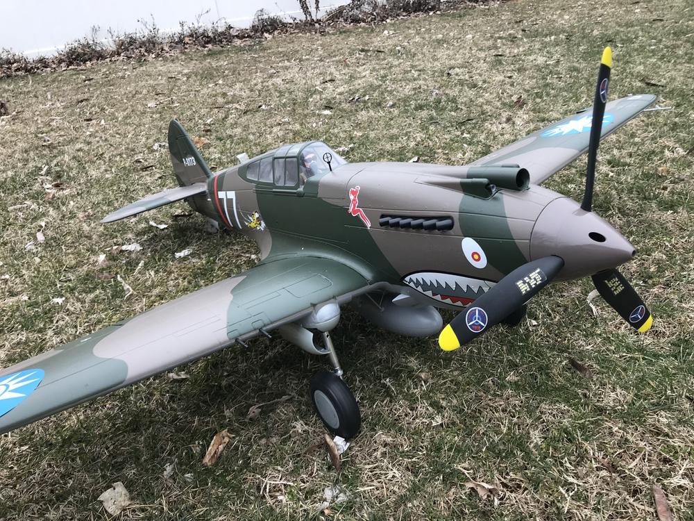 FMS P40B Warhawk Flying Tiger 1400mm (55") Wingspan PNP FMS081P