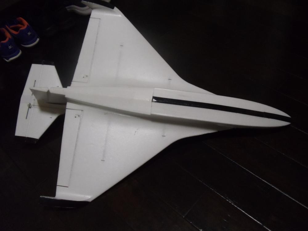 Skynetic Dragonfly Seaplane V2 700mm (27.5") Wingspan - PNP - Customer Photo From John
