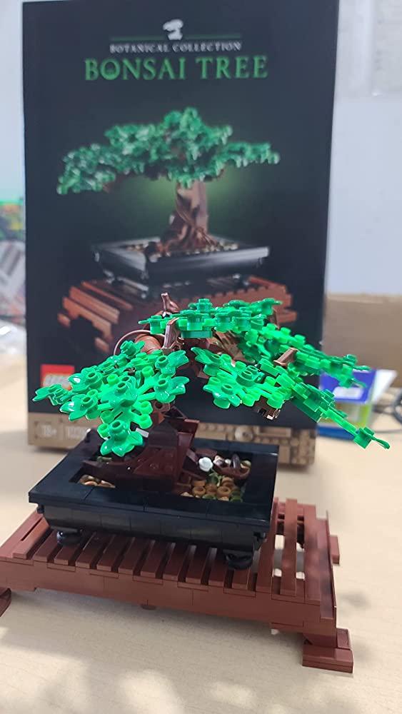 LEGO Creator Expert Bonsai Tree - Customer Photo From Max Willms
