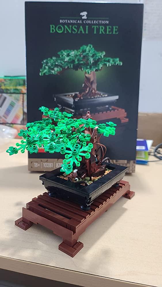 LEGO Creator Expert Bonsai Tree - Customer Photo From Max Willms