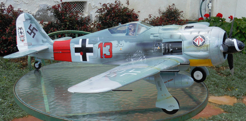 FlightLine FW-190 V2 1120mm (44") Wingspan - PNP - Customer Photo From Allan Flowers