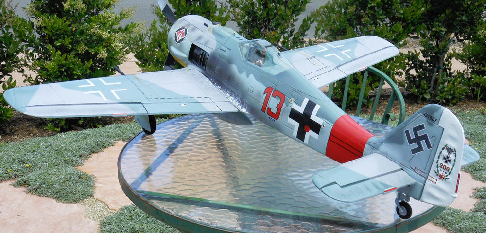 FlightLine FW-190 V2 1120mm (44") Wingspan - PNP - Customer Photo From Allan Flowers