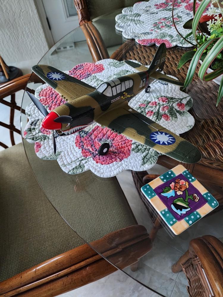 Skynetic P-40 EPP with Gyro 400mm (15.7") Wingspan - RTF - Customer Photo From Martin Davis