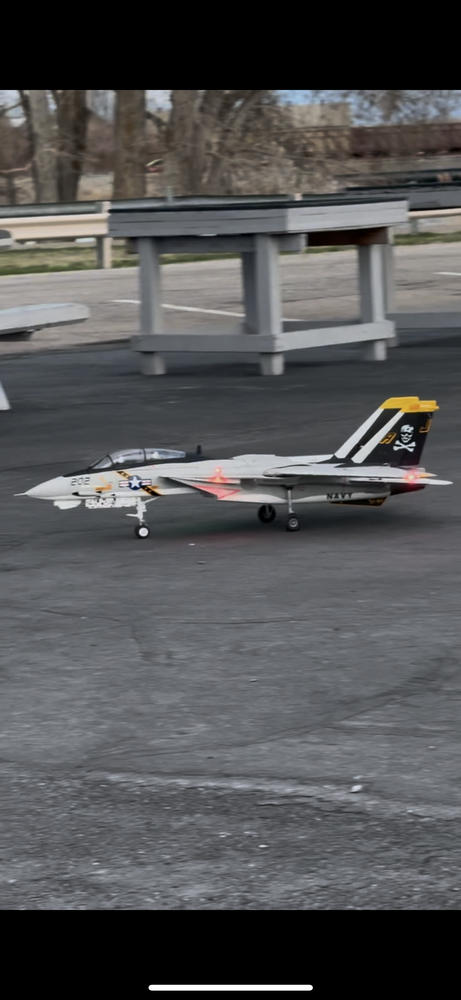 Freewing F-14 Tomcat Twin 64mm EDF Jet - PNP - Customer Photo From Dallan Dixon