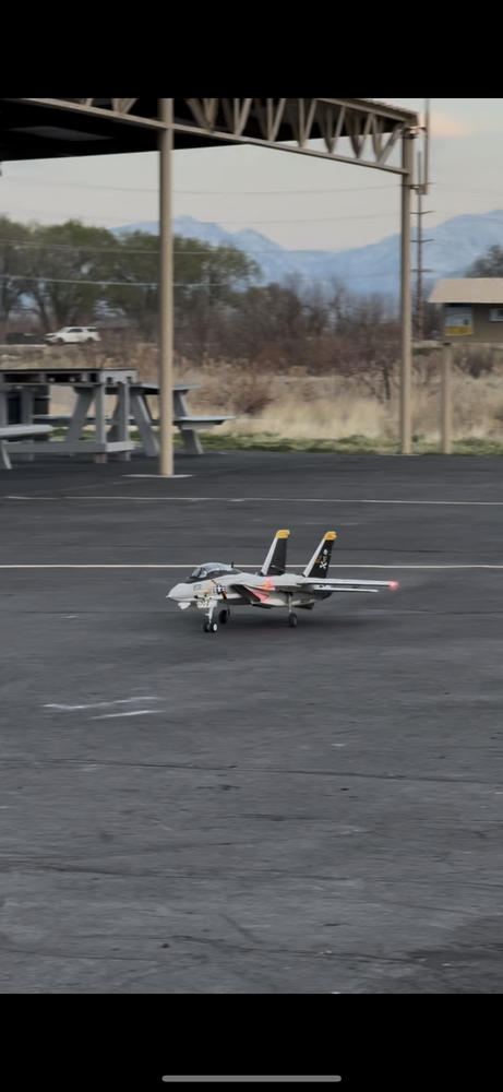 Freewing F-14 Tomcat Twin 64mm EDF Jet - PNP - Customer Photo From Dallan Dixon