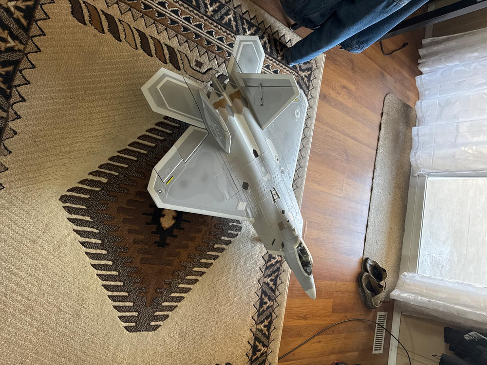 Freewing F-22 Raptor 80mm EDF Jet with Gyro - PNP - Customer Photo From Leif Olson