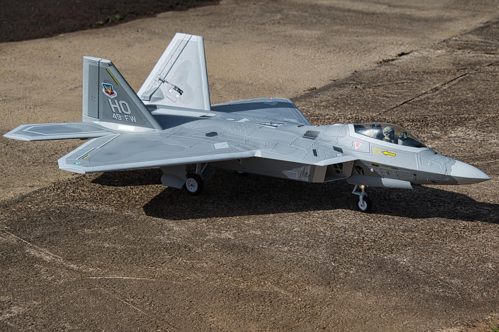 Freewing F-22 Raptor 80mm EDF Jet with Gyro - PNP - Customer Photo From JOHNNY SALAZA