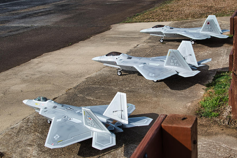 Freewing F-22 Raptor 80mm EDF Jet with Gyro - PNP - Customer Photo From JOHNNY SALAZA