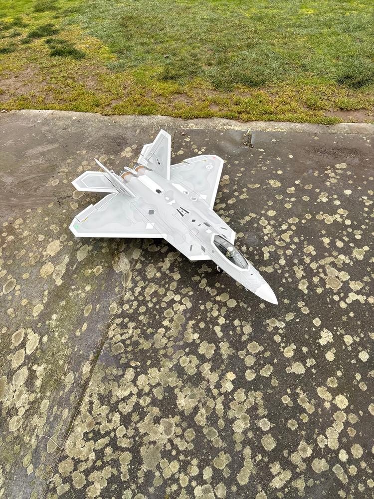 Freewing F-22 Raptor 80mm EDF Jet with Gyro - PNP - Customer Photo From Chris
