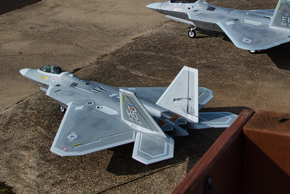 Freewing F-22 Raptor 80mm EDF Jet with Gyro - PNP - Customer Photo From JOHNNY SALAZA