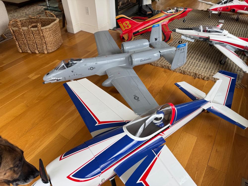 Freewing A-10 Thunderbolt II Super Scale Twin 80mm EDF Jet V2 Inrunner with Gyro - PNP - Customer Photo From Richard Aufrichtig