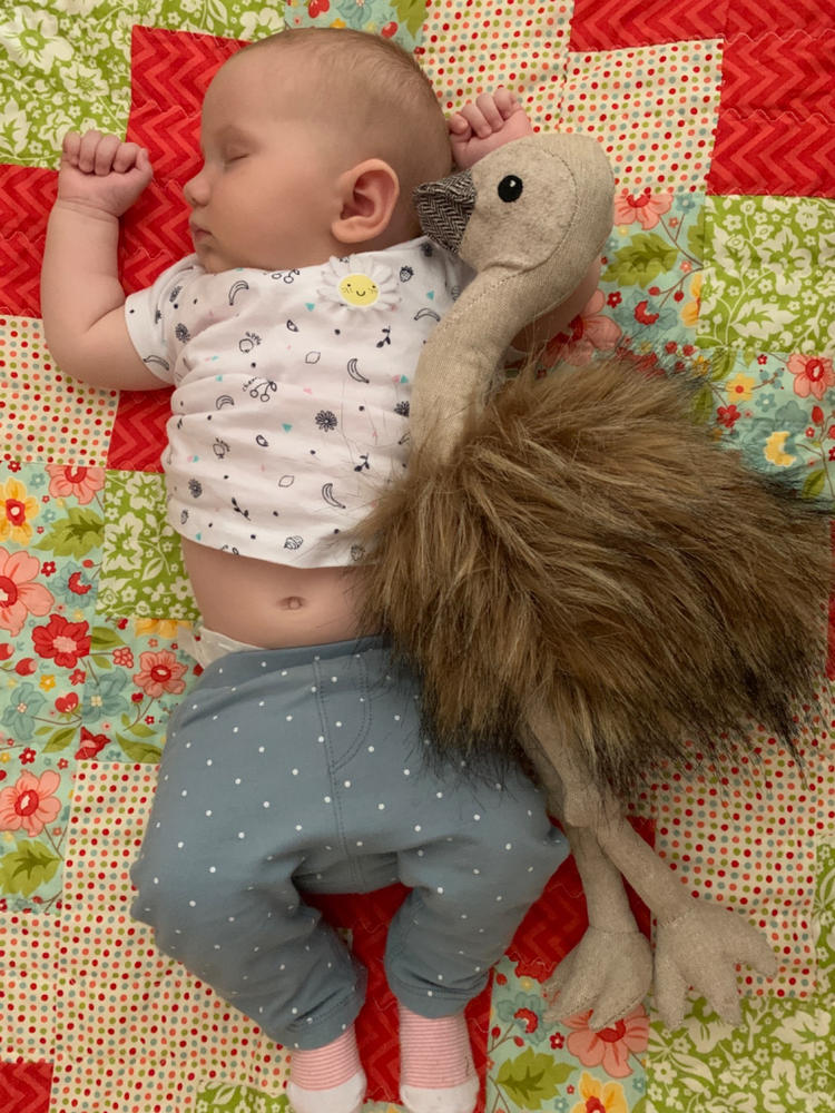 Eddie The Emu - Customer Photo From Elizabeth Whild