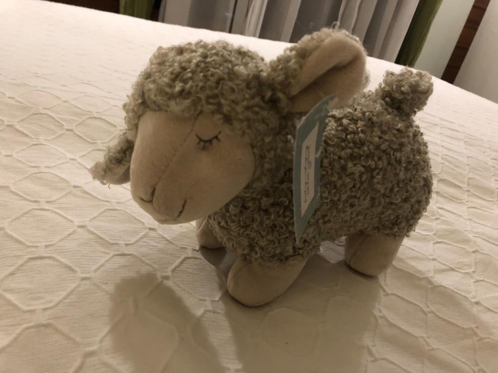 Lucy Lamb-Cream - Customer Photo From Leanne Gray