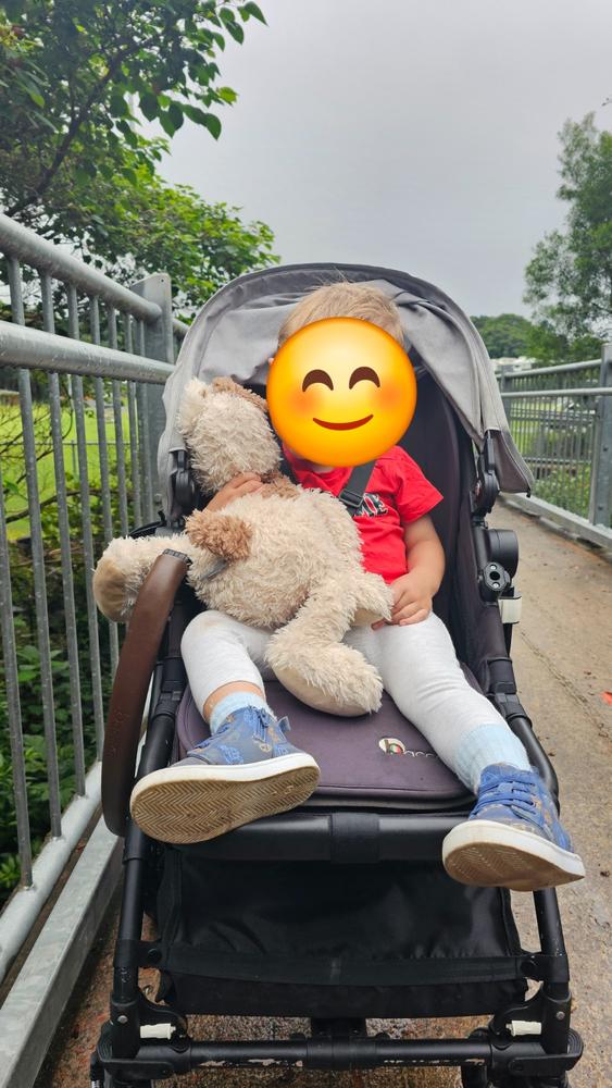 Buddy Dog - Customer Photo From Shaye Haasbroek
