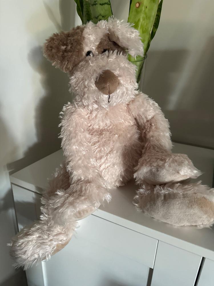 Buddy Dog - Customer Photo From Donna Sergi