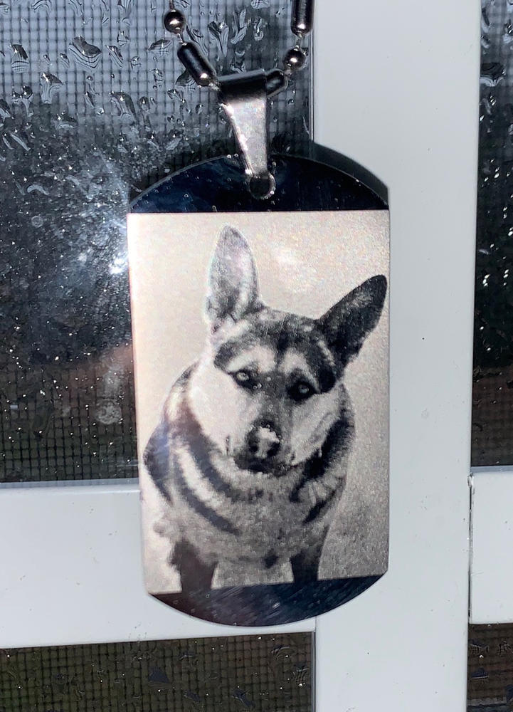 personalized custom dog Picture id tag-PDCBP Anicelook high grade stainless steel