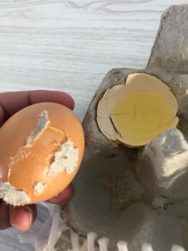 Local Free Range Eggs - Half Dozen - Customer Photo From Gabrielle bary