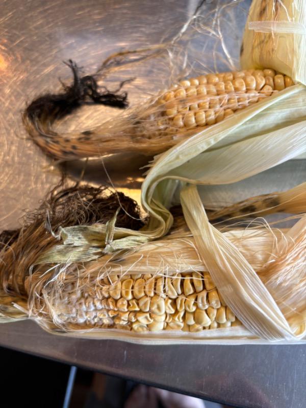 Sweet Corn - Customer Photo From Tess Spence