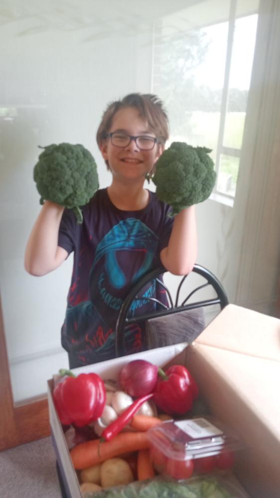 Large Vege Box - Customer Photo From Chontelle Hastie