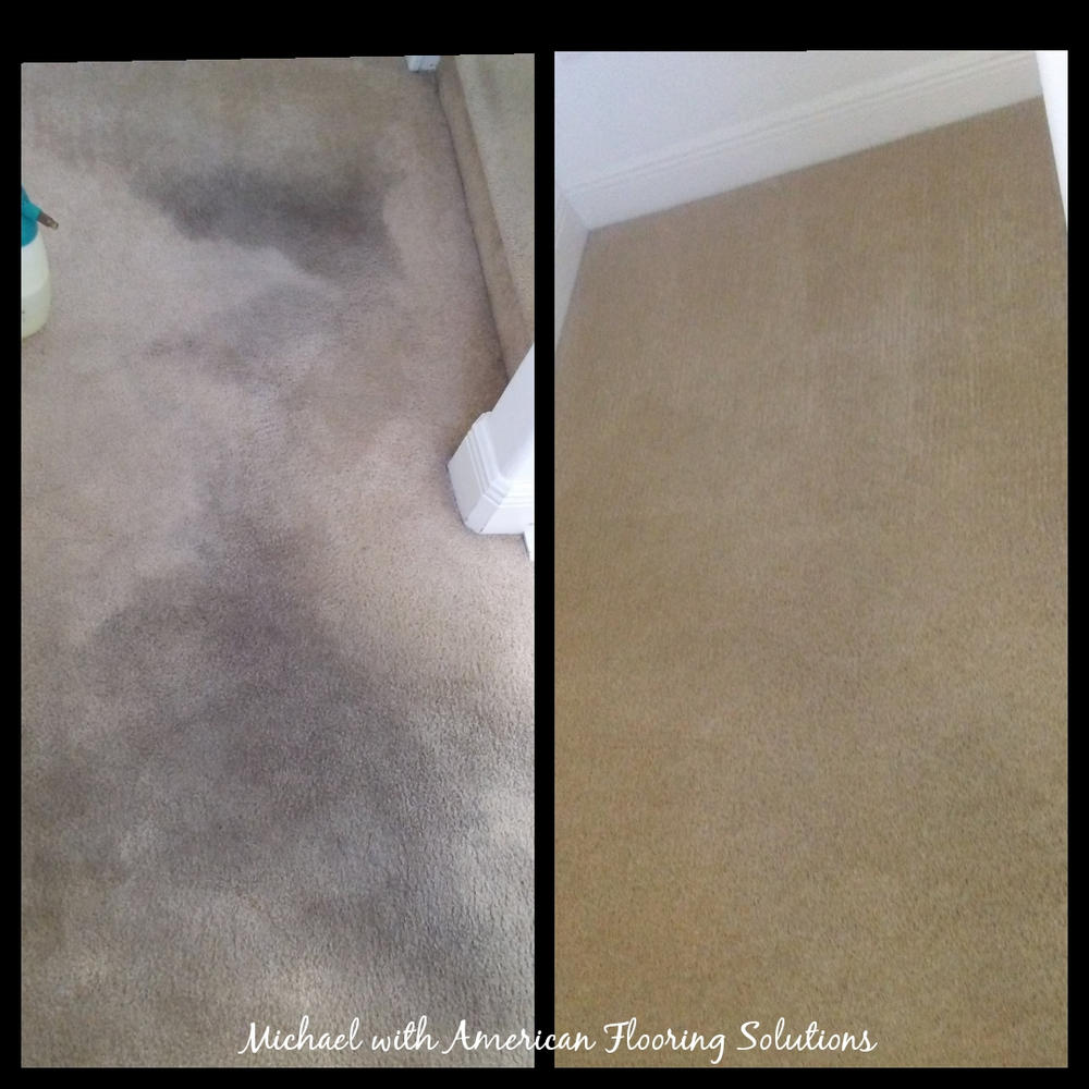 USOR UNCHAINED Pet Stain Remover Urine Stain & Odor Remover