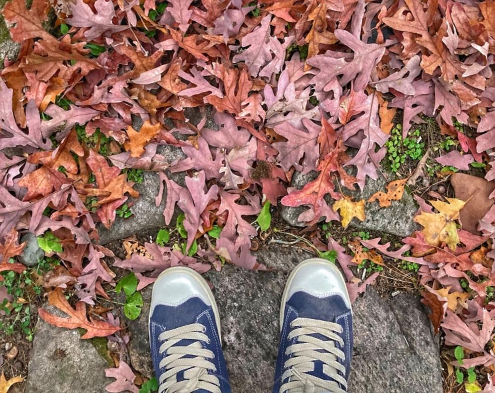 simple shoes retro 91