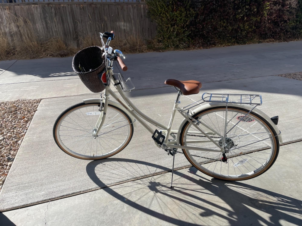 Dreamcatcher Handwoven Cane Bike Basket Retrospec