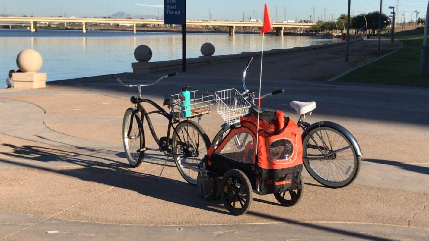 retrospec rover 1 passenger child bike trailer review