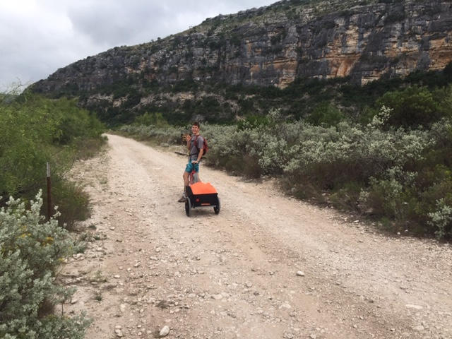 rover hauler cargo bike trailer