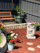 Fountainland Solar Powered 4-Tier Bowls Water Fountain w/ LED - Sand Beige 72cm Review