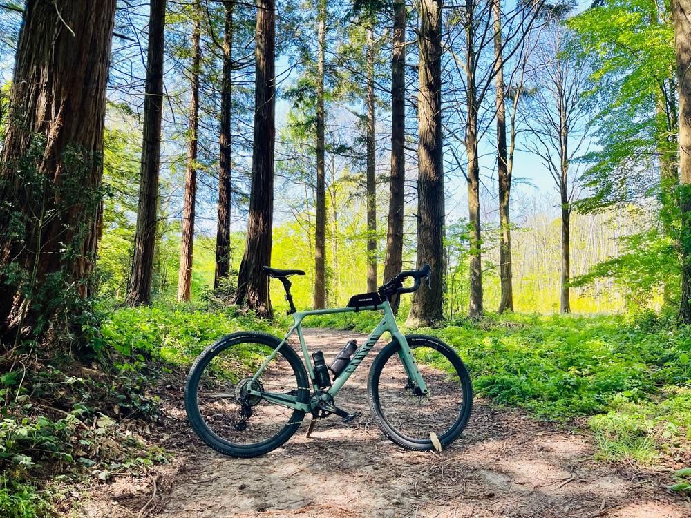 ShockStop Endurance Suspension Seatpost - Customer Photo From Matthew Reeves